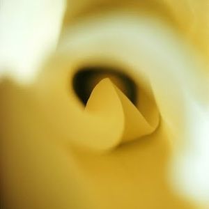 Meet your Posher, Bobby